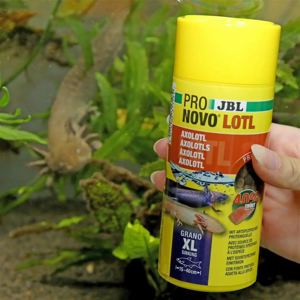 JBL ProNovo Lotl XL 250 ml Axolotl foder